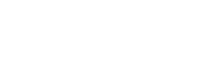 Grupo Gravitas